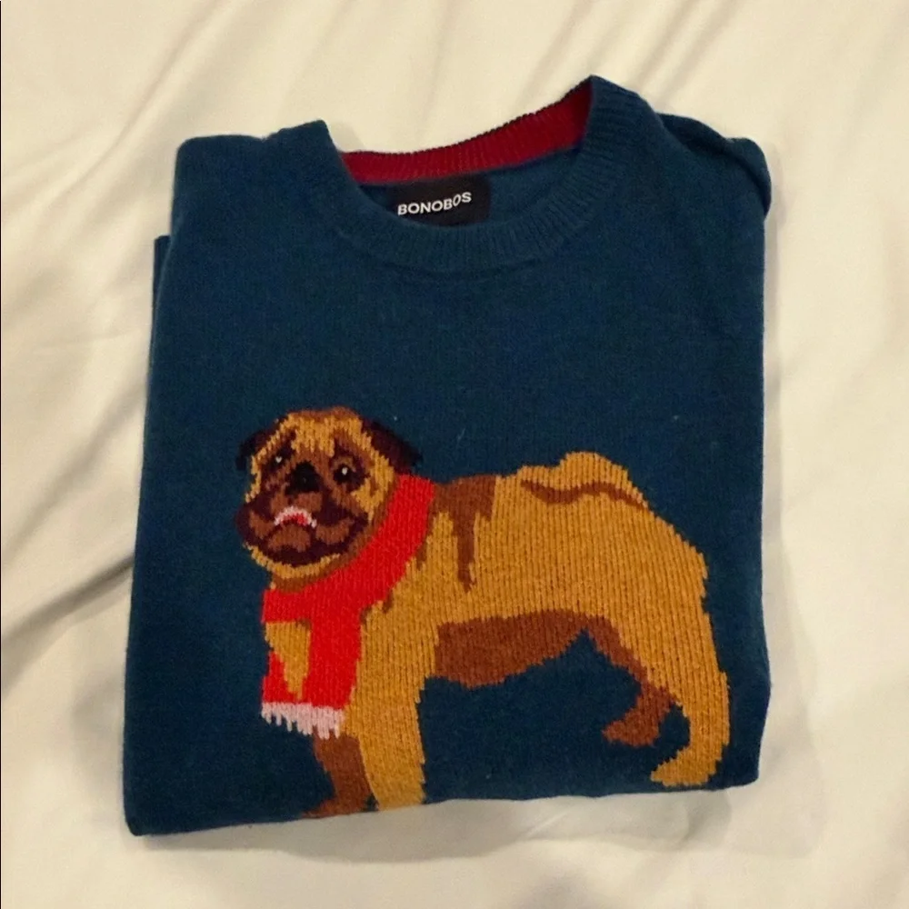 Bonobos Teal Sweater with Pug Design